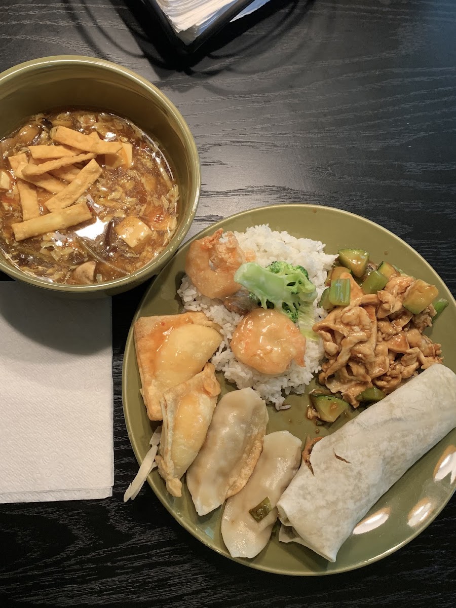 China Cook-9